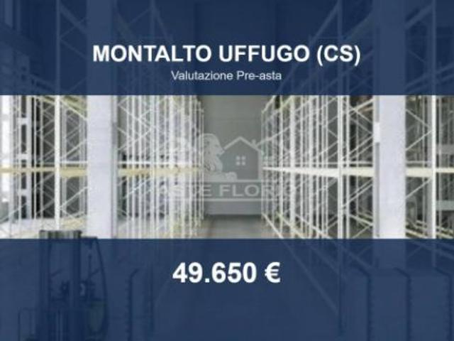 Immobile in asta di 300 m in vendita a Montalto Uffugo
