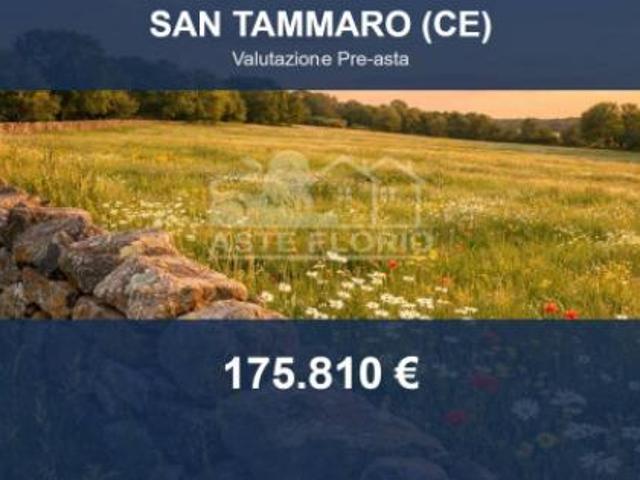 Immobile in asta di 3026 m in vendita a San Tammaro