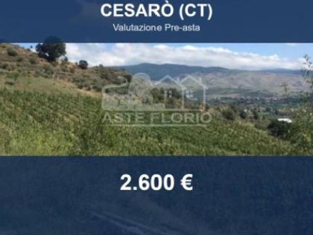Immobile in asta di 3040 m in vendita a Cesarò