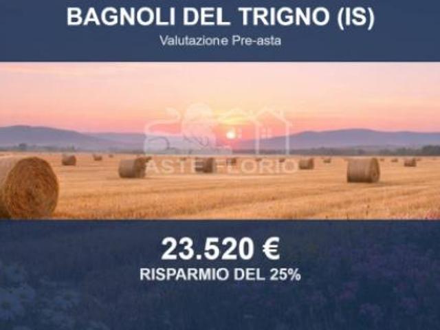 Immobile in asta di 30550 m in vendita a Bagnoli del Trigno