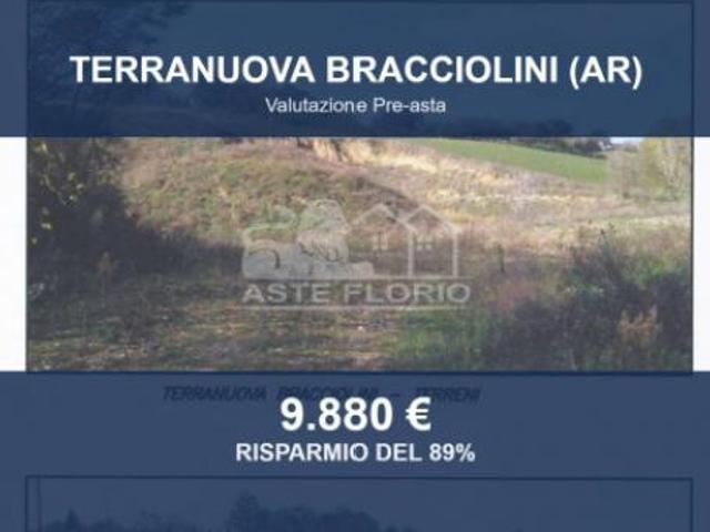 Immobile in asta di 30770 m in vendita a Terranuova Bracciolini