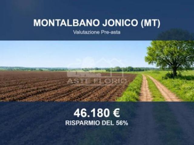 Immobile in asta di 30977 m in vendita a Montalbano Jonico