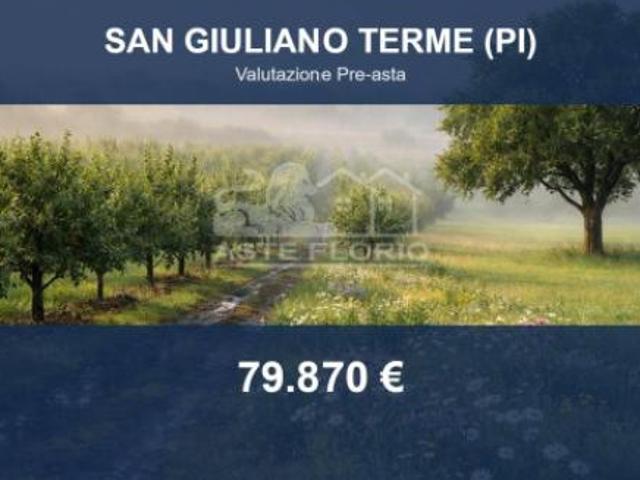 Immobile in asta di 31370 m in vendita a San Giuliano Terme