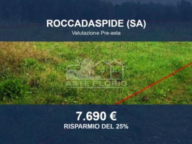 Immobile in asta di 3195 m in vendita a Roccadaspide