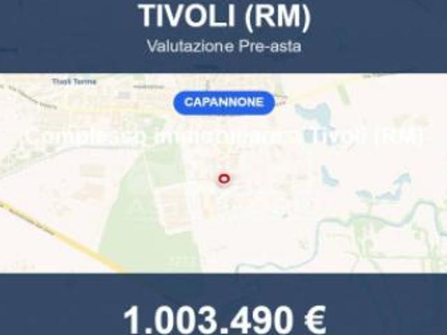 Immobile in asta di 3212 m in vendita a Tivoli