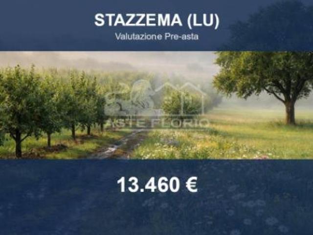 Immobile in asta di 3219 m in vendita a Stazzema