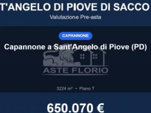Immobile in asta di 3224 m in vendita a Sant'Angelo di Piove di Sacco