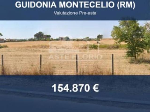 Immobile in asta di 32265 m in vendita a Guidonia Montecelio