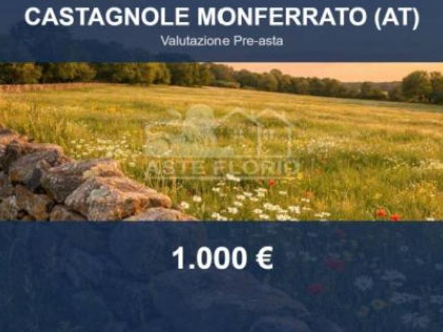 Immobile in asta di 3290 m in vendita a Castagnole Monferrato