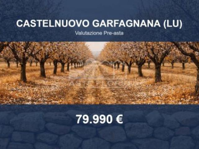 Immobile in asta di 3310 m in vendita a Castelnuovo di Garfagnana
