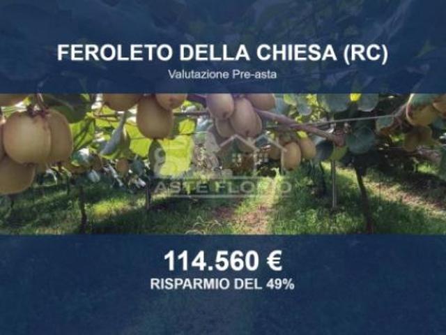 Immobile in asta di 3378 m in vendita a Feroleto della Chiesa