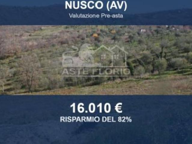 Immobile in asta di 33820 m in vendita a Nusco