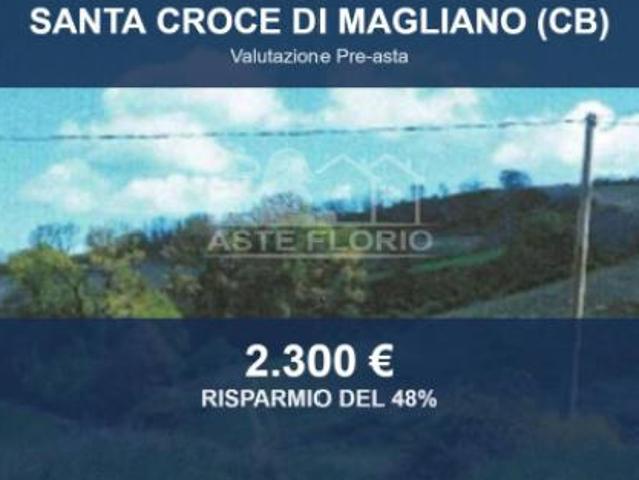 Immobile in asta di 4400 m in vendita a Santa Croce di Magliano