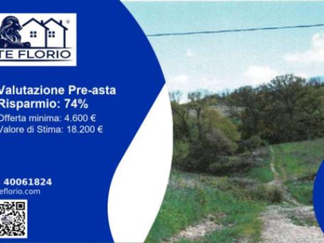 Immobile in asta di 4400 m in vendita a Santa Croce di Magliano