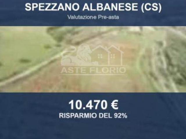 Immobile in asta di 44660 m in vendita a Spezzano Albanese