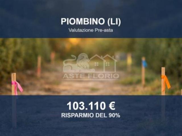 Immobile in asta di 4600 m in vendita a Piombino