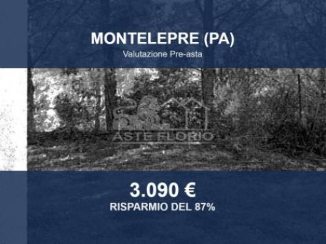 Immobile in asta di 4631 m in vendita a Montelepre