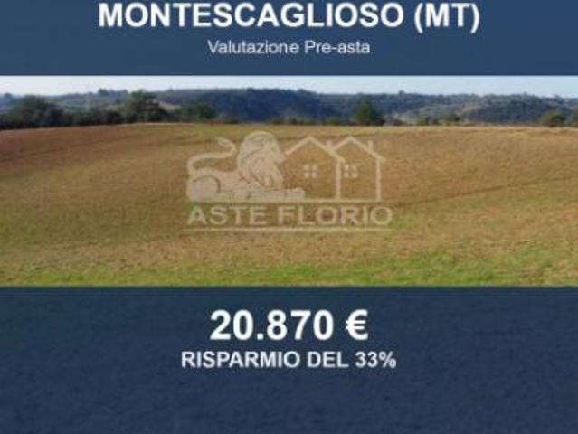 Immobile in asta di 46370 m in vendita a Montescaglioso