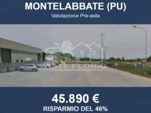 Immobile in asta di 4642 m in vendita a Montelabbate