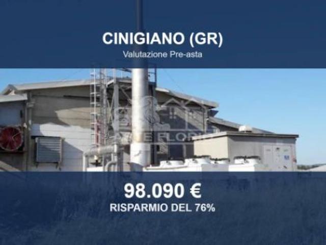 Immobile in asta di 4650 m in vendita a Cinigiano
