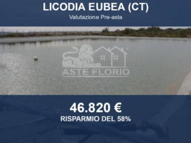 Immobile in asta di 46740 m in vendita a Licodia Eubea