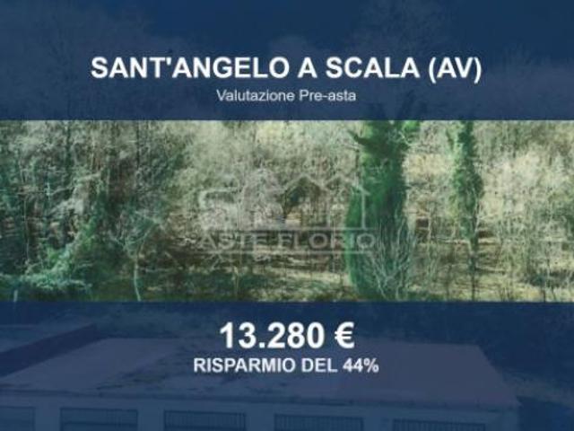 Immobile in asta di 4723 m in vendita a Sant'Angelo a Scala