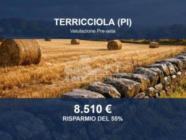 Immobile in asta di 4730 m in vendita a Terricciola