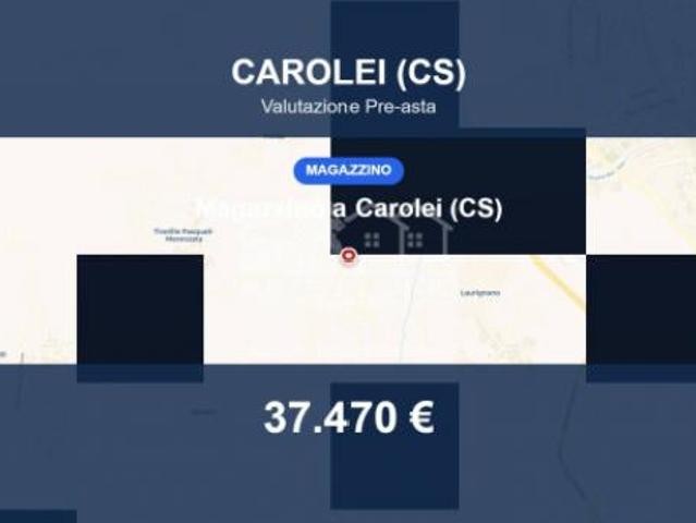 Immobile in asta di 477 m in vendita a Carolei