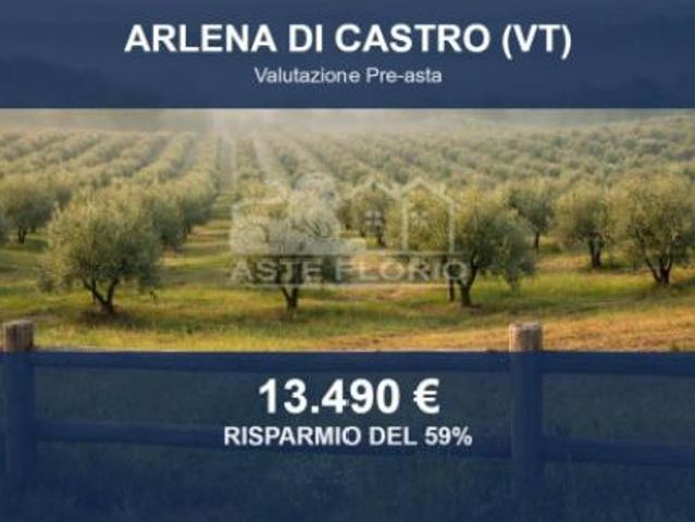 Immobile in asta di 47460 m in vendita a Arlena di Castro