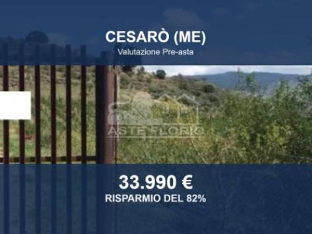Immobile in asta di 47665 m in vendita a Cesarò