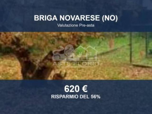 Immobile in asta di 47 m in vendita a Briga Novarese