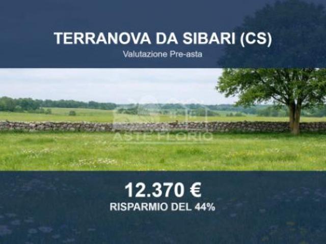 Immobile in asta di 4883 m in vendita a Terranova da Sibari
