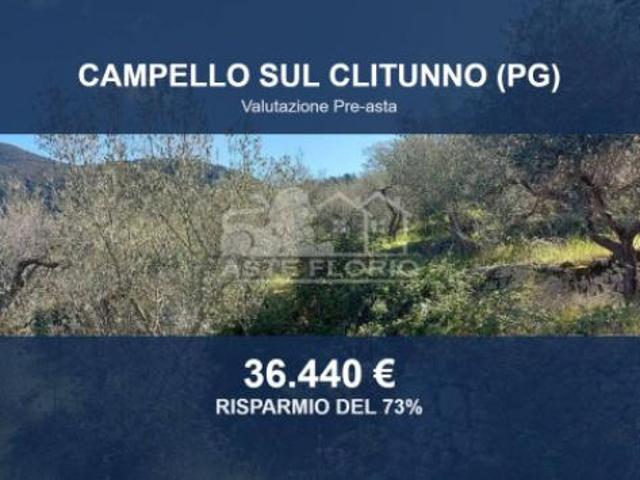 Immobile in asta di 4934 m in vendita a Campello sul Clitunno