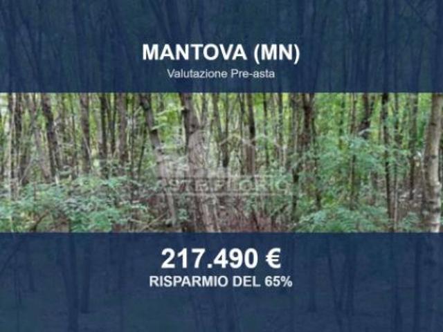 Immobile in asta di 49520 m in vendita a Mantova