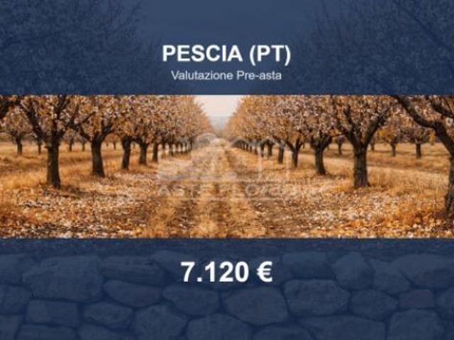 Immobile in asta di 4965 m in vendita a Pescia