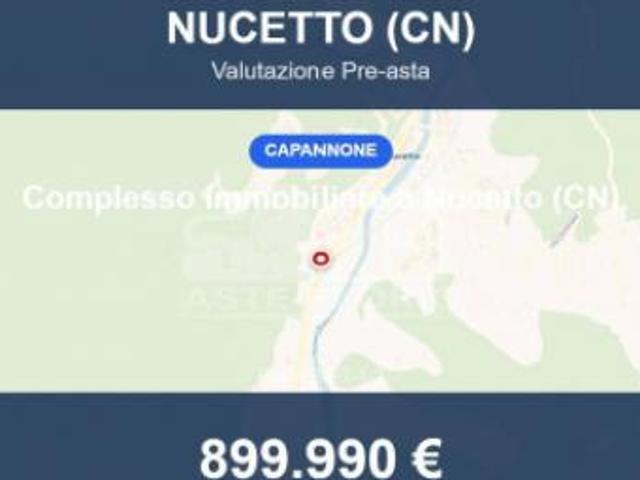 Immobile in asta di 4000 m in vendita a Nucetto