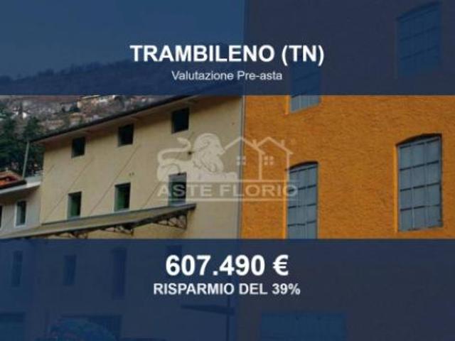 Immobile in asta di 4020 m in vendita a Trambileno