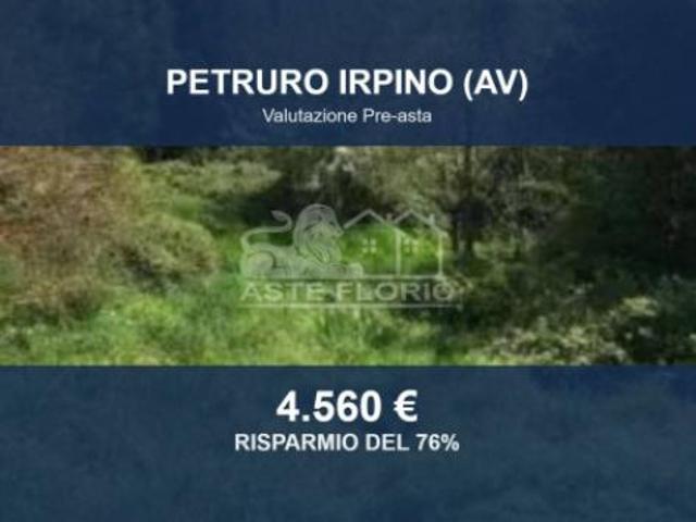 Immobile in asta di 4071 m in vendita a Petruro Irpino