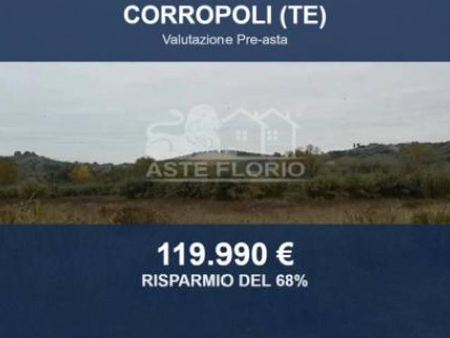 Immobile in asta di 40836 m in vendita a Corropoli