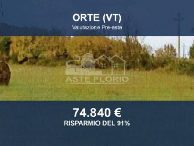 Immobile in asta di 40880 m in vendita a Orte