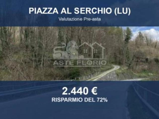 Immobile in asta di 41004 m in vendita a Piazza al Serchio