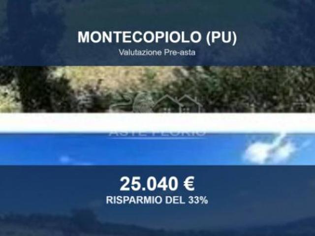 Immobile in asta di 41269 m in vendita a Montecopiolo