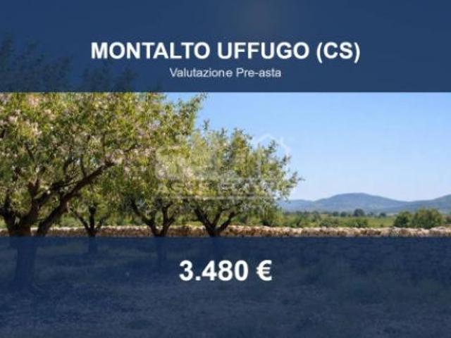 Immobile in asta di 4224 m in vendita a Montalto Uffugo