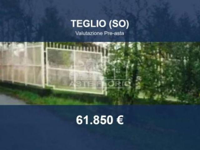 Immobile in asta di 4292 m in vendita a Teglio