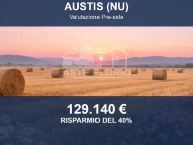 Immobile in asta di 435732 m in vendita a Austis
