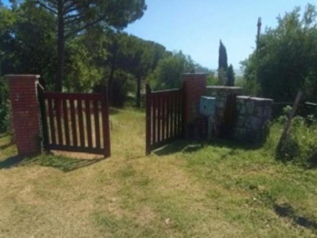 Immobile in asta di 435 m in vendita a Scansano