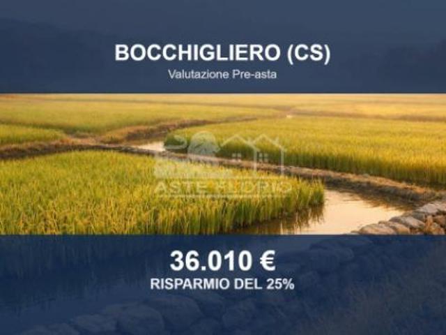 Immobile in asta di 43650 m in vendita a Bocchigliero