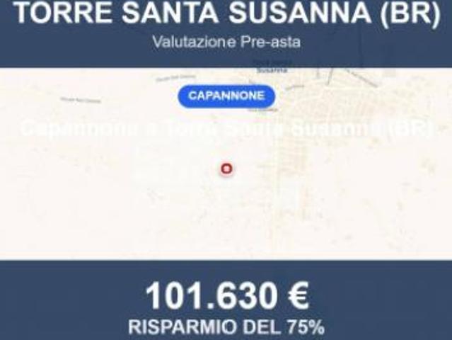 Immobile in asta di 542 m in vendita a Torre Santa Susanna