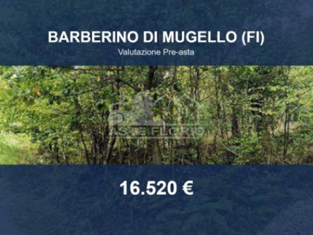 Immobile in asta di 54494 m in vendita a Barberino di Mugello