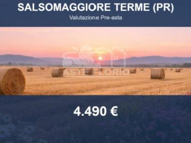Immobile in asta di 5550 m in vendita a Salsomaggiore Terme